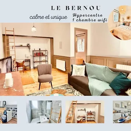 Apartamento Le Bernou : Hypercentre- Calme Et Unique!